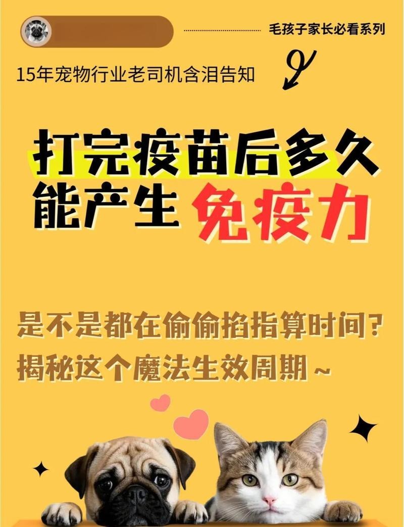 龍貓疫苗接種后多久產(chǎn)生抗體？