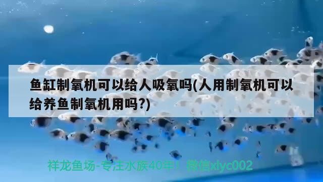 南陽康益霖醫藥連鎖有限公司十二分店