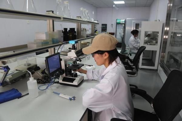 定興縣魚缸銷售點：保定寵物用品市場探秘保定寵物用品市場探秘保定寵物用品市場 定興縣魚缸銷售點：保定寵物用品市場探秘保定寵物用品市場探秘保定寵物用品市場 魚缸百科 第3張