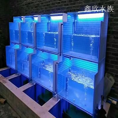 商用海鮮魚缸選購和使用建議商用海鮮魚缸的選購和使用建議：商用海鮮魚缸的選購和使用 商用海鮮魚缸選購和使用建議商用海鮮魚缸的選購和使用建議：商用海鮮魚缸的選購和使用 魚缸百科 第1張