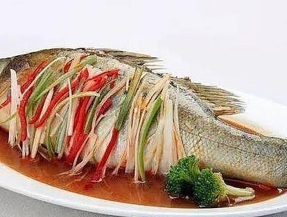 多福魚貴不貴 多福魚貴不貴 龍魚論壇 第1張