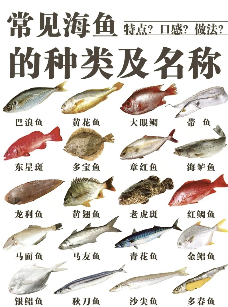 多福魚貴不貴 多福魚貴不貴 龍魚論壇 第3張