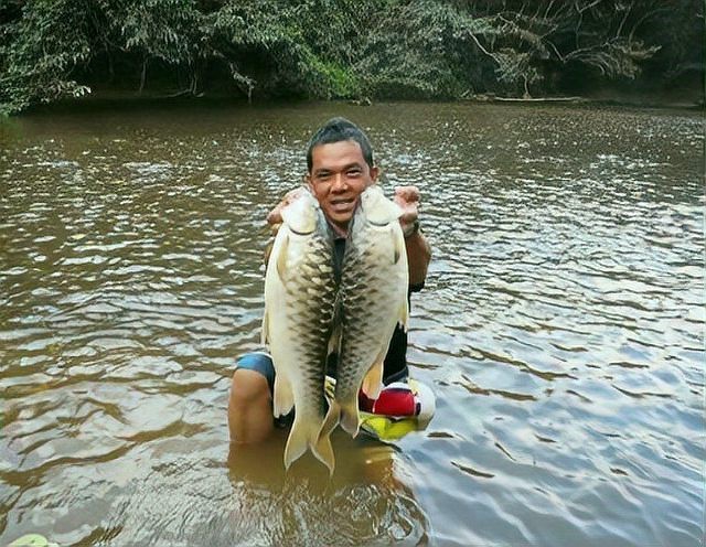 多福魚貴不貴 多福魚貴不貴 龍魚論壇 第6張