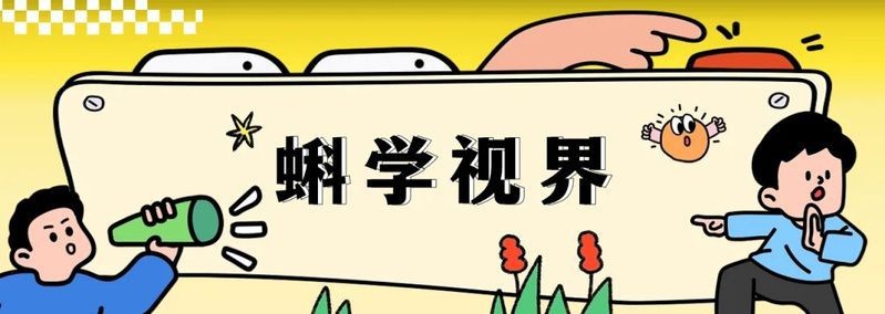 虎鯨會救人嗎