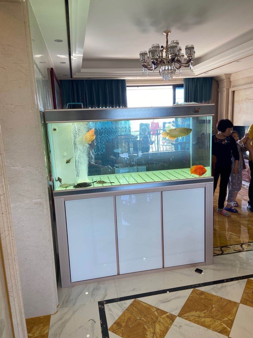 輝賞好水族魚缸工藝廠