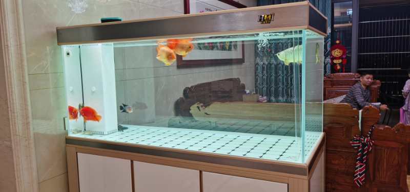 輝賞好水族魚缸工藝廠