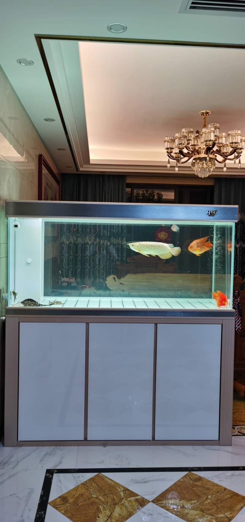 輝賞好水族魚缸工藝廠