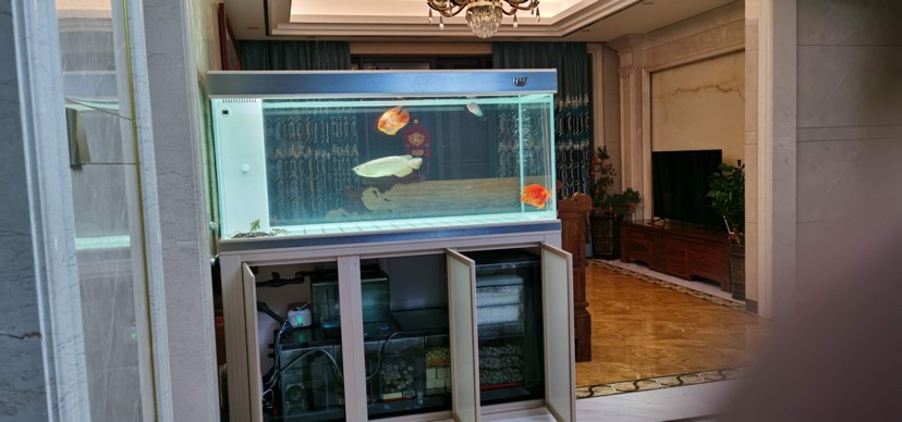 輝賞好水族魚缸工藝廠