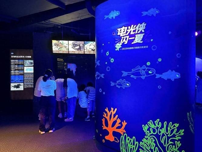 上海水族展2025 2025長城杯龍魚大賽 第3張 上海水族展2025 上海水族展2025 2025長城杯龍魚大賽 第3張