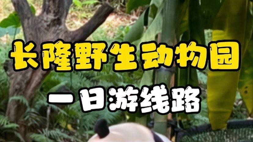 如何購買廣州長隆野生動物園門票？ 如何購買廣州長隆野生動物園門票？ 2025長城杯龍魚大賽 第9張