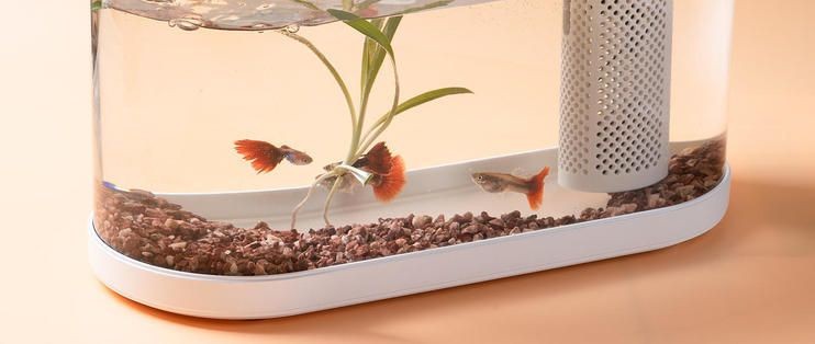 畫法幾何智能魚缸：畫法幾何智能魚缸app用戶評價畫法幾何智能魚缸