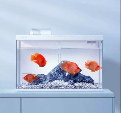 魚缸水泵不工作了怎么修理：魚缸水泵不工作怎么辦
