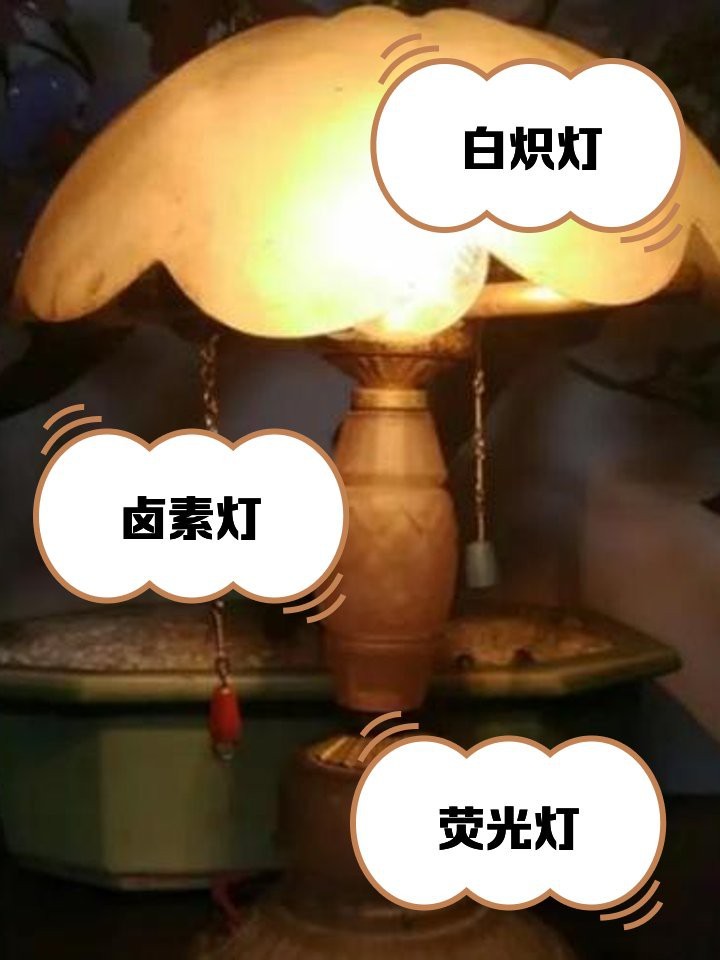 燈種類及名稱大全 燈種類及名稱大全 龍魚論壇 第6張