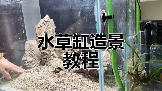 紅龍魚缸造景需要哪些材料？