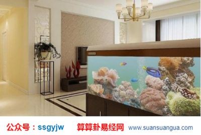 風水魚缸的尺寸應該適中，不宜過大或過小，：風水魚缸的尺寸與擺放
