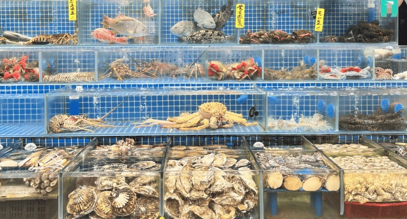 黃沙水產市場搬遷后，龍魚批發是否受影響？