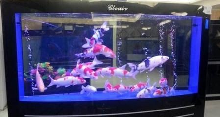 沈陽可麗愛魚缸地址電話是多少，沈陽寵物用品店推薦