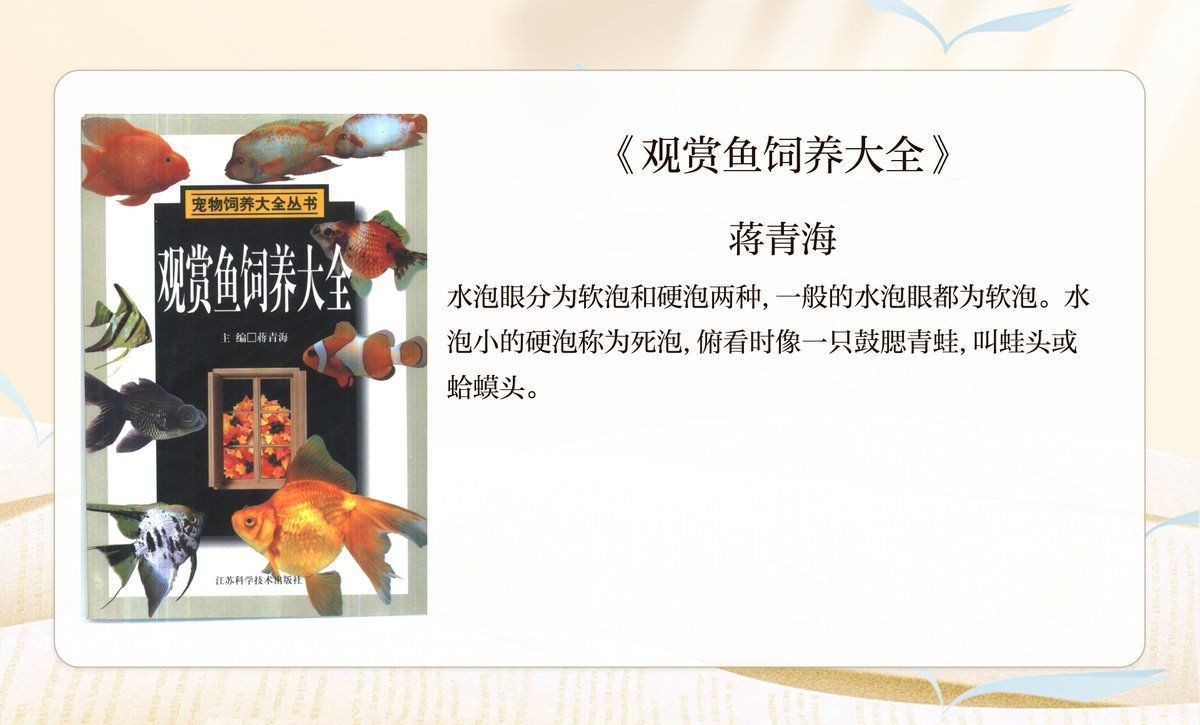 紅高頭金魚好養嗎 紅高頭金魚好養嗎 龍魚論壇 第8張