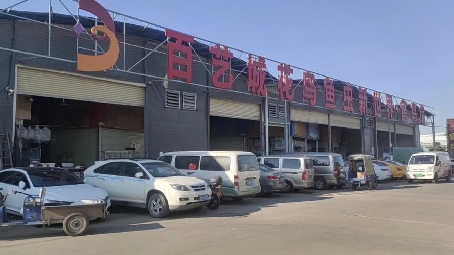 銀龍魚批發價格 龍魚百科 第5張 銀龍魚批發價格 銀龍魚批發價格 龍魚百科 第5張