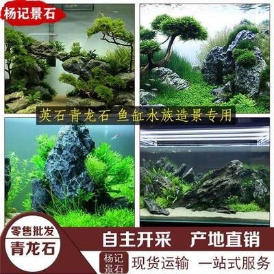 景石魚(yú)缸打造：景石魚(yú)缸造景石擺放的風(fēng)水講究魚(yú)缸造景石擺放的風(fēng)水講究