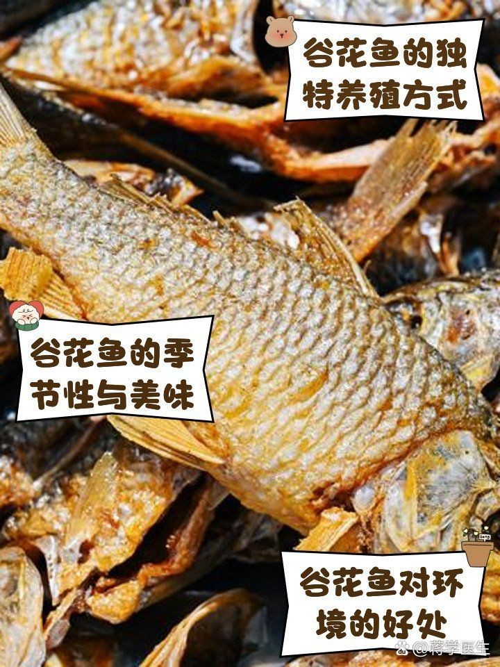 谷魚圖片真實大全 谷魚圖片真實大全 龍魚論壇 第4張