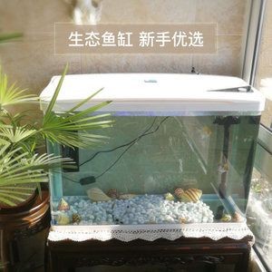 如果你對魚缸的設(shè)計和建造感興趣：華陽魚缸生態(tài)系統(tǒng) 如果你對魚缸的設(shè)計和建造感興趣：華陽魚缸生態(tài)系統(tǒng) 魚缸百科 第3張
