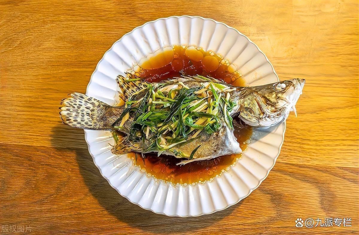 桂魚和鱸魚哪個好 桂魚和鱸魚哪個好 龍魚論壇 第6張