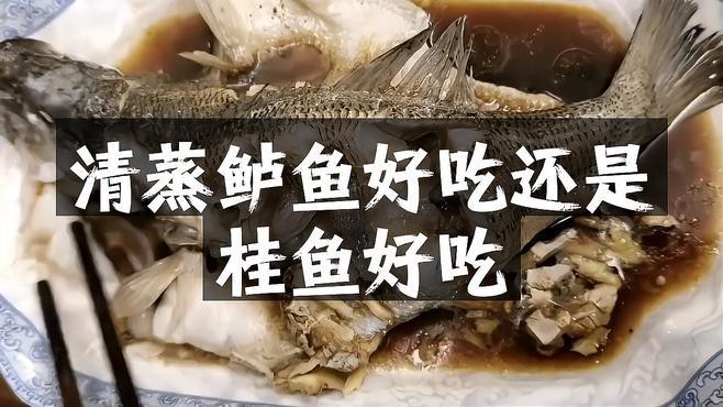 桂魚和鱸魚哪個好 桂魚和鱸魚哪個好 龍魚論壇 第4張
