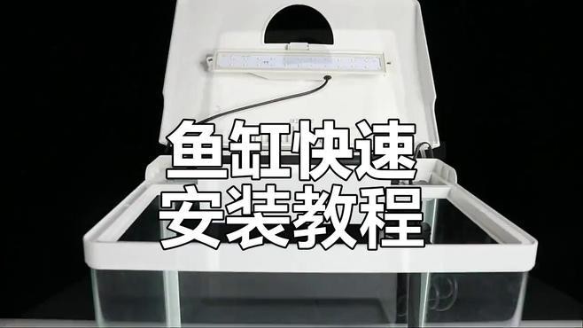 哪個品牌的魚缸水泵性價比最高？