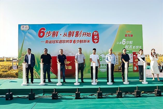 金龍魚還邀請過哪些冠軍代言？