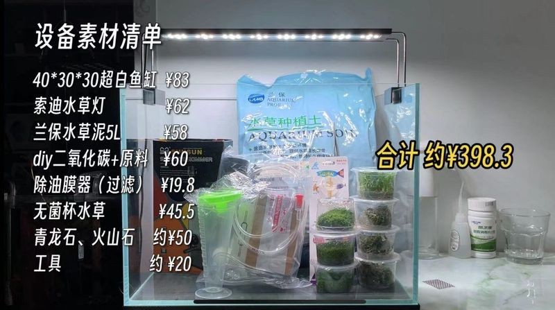 如何評價一個40草缸造景圖的優劣? 2025長城杯龍魚大賽 第4張 如何評價一個40草缸造景圖的優劣? 如何評價一個40草缸造景圖的優劣? 2025長城杯龍魚大賽 第4張
