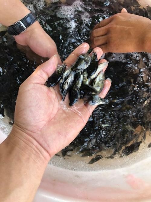 能推薦幾張高殺氣的龍圖嗎？ 能推薦幾張高殺氣的龍圖嗎？ 龍魚論壇 第6張