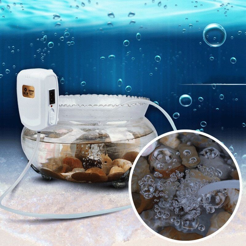 魚缸增氧泵能用幾年（魚缸增氧泵的使用壽命）