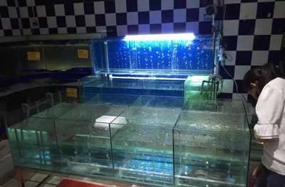 如何選擇合適的魚缸水循環系統：diy魚缸水循環系統的步驟詳解 如何選擇合適的魚缸水循環系統：diy魚缸水循環系統的步驟詳解 魚缸百科 第4張