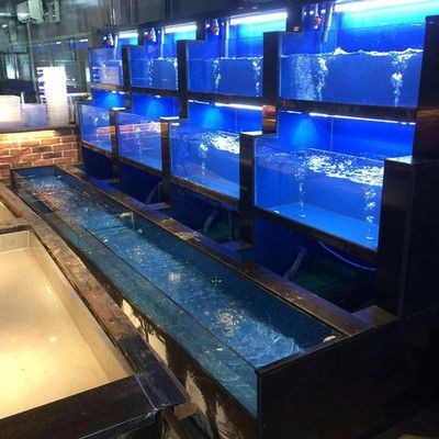 如何選擇合適的魚缸水循環系統：diy魚缸水循環系統的步驟詳解