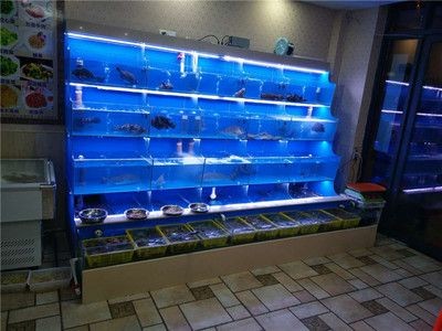 如何選擇合適的魚缸水循環系統：diy魚缸水循環系統的步驟詳解