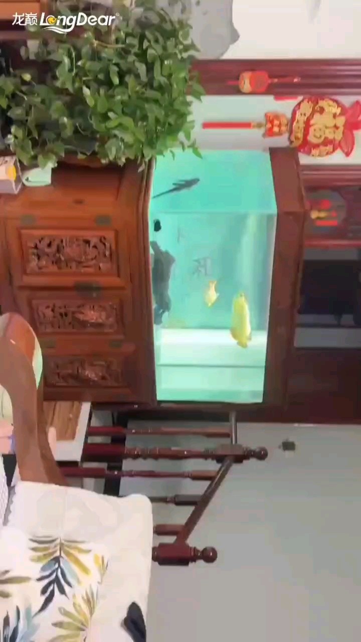 轉發838