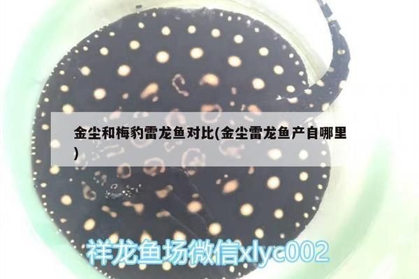歐博龍魚(yú)缸客服電話號(hào)碼，歐博龍魚(yú)缸客服電話