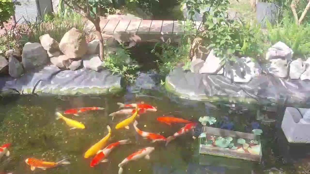 技術創造歷史