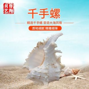 麒麟能擺在魚缸上嗎:麒麟擺放在魚缸上具有積極意義的意義但直接擺放在魚缸上 魚缸百科 第1張 麒麟能擺在魚缸上嗎:麒麟擺放在魚缸上具有積極意義的意義但直接擺放在魚缸上 麒麟能擺在魚缸上嗎:麒麟擺放在魚缸上具有積極意義的意義但直接擺放在魚缸上 魚缸百科 第1張