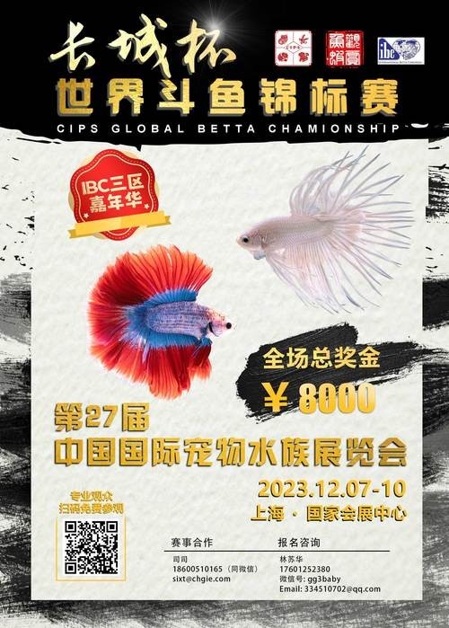 長城杯觀賞魚大賽2024 長城杯觀賞魚大賽2024 2025長城杯龍魚大賽 第13張