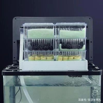 魚缸好與壞的區別（魚缸好與壞的區別：魚缸的好與壞可以從以下幾個方面進行區分） 魚缸好與壞的區別（魚缸好與壞的區別：魚缸的好與壞可以從以下幾個方面進行區分） 魚缸百科 第1張