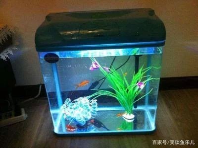 魚缸好與壞的區別（魚缸好與壞的區別：魚缸的好與壞可以從以下幾個方面進行區分） 魚缸好與壞的區別（魚缸好與壞的區別：魚缸的好與壞可以從以下幾個方面進行區分） 魚缸百科 第4張