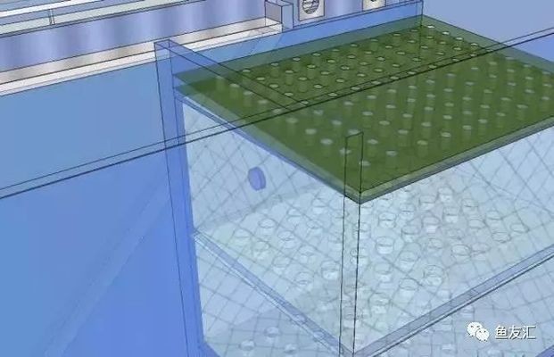 魚缸底濾的做法：魚缸底濾與上濾對比分析魚缸底濾適用魚缸底濾適用魚類推薦