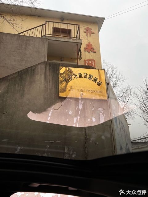 哪里可以找到西安的龍魚養殖者