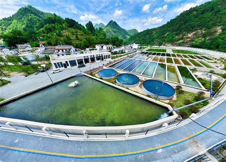 皇宮龍魚漁場是否存在？ 皇宮龍魚漁場是否存在？ 2025長城杯龍魚大賽 第4張