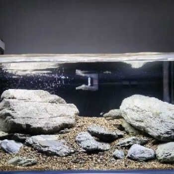 森森魚缸造景會(huì)不會(huì)炸缸（如何正確擺放魚缸防止炸缸）