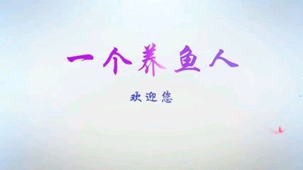 描寫龍魚的作文450字：描寫龍魚的作文