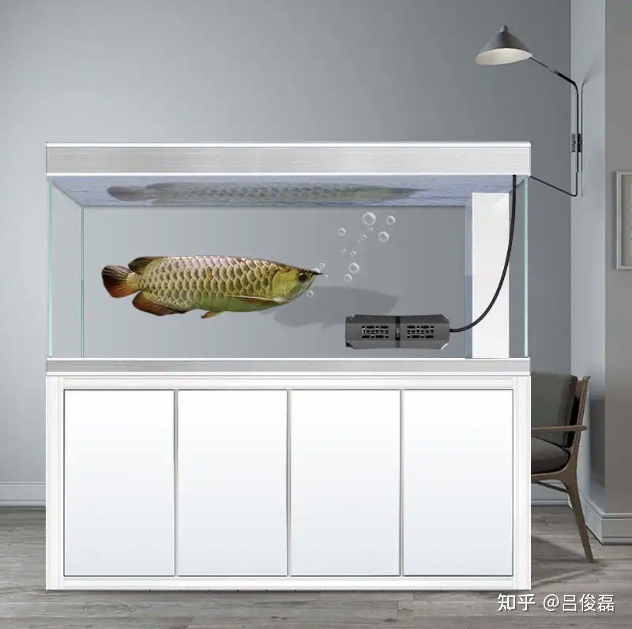 高端魚(yú)缸品牌有哪些好（如何選擇高端魚(yú)缸品牌）
