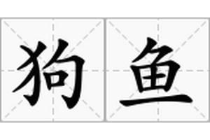 狗魚別名 狗魚別名 龍魚論壇 第9張